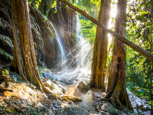 christmas island swell lodge photo tour example 14